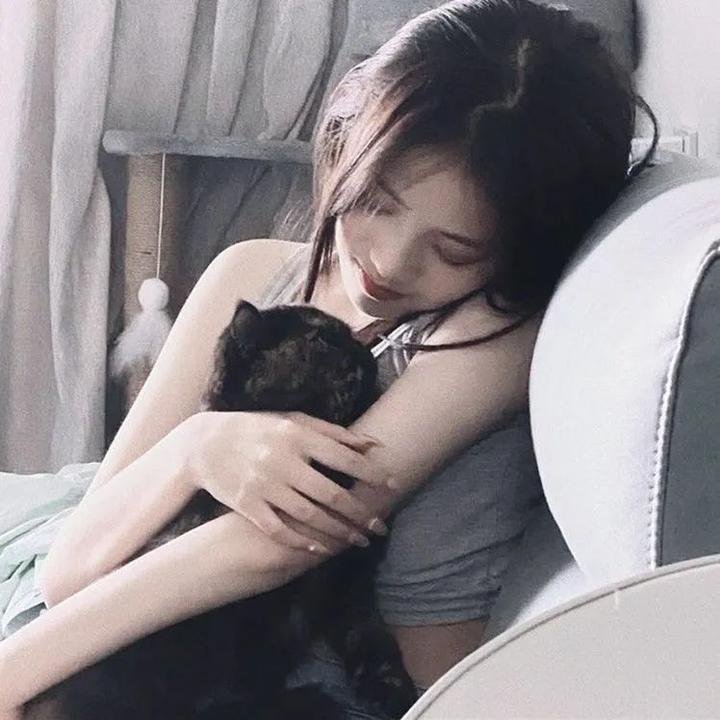 太空熊猫历险记 在线观看
